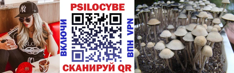 Купить закладки  Ясногорск  Псилоцибиновые грибы MAGIC MUSHROOMS 