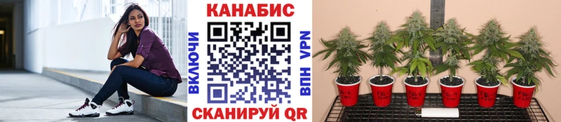 МАРИХУАНА сатива  Купить  Ясногорск 